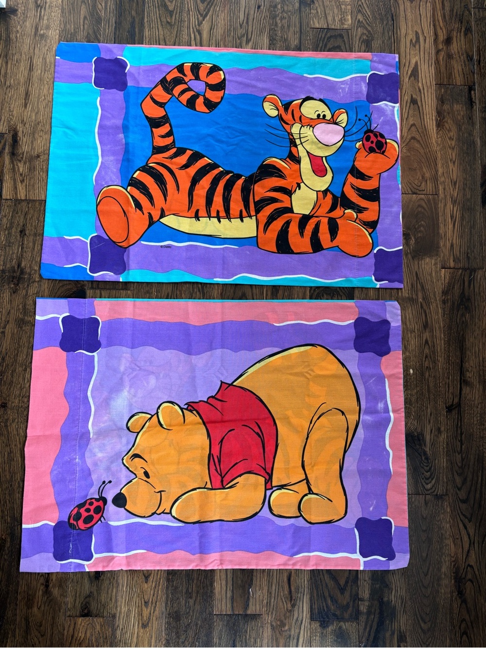 Vintage Winnie the Pooh and Tigger pillowcase set